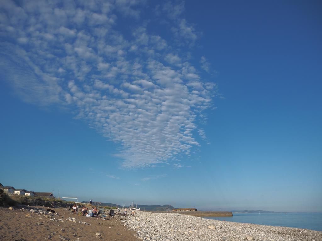 Dorset House Bed and Breakfast Lyme Regis Eksteriør billede