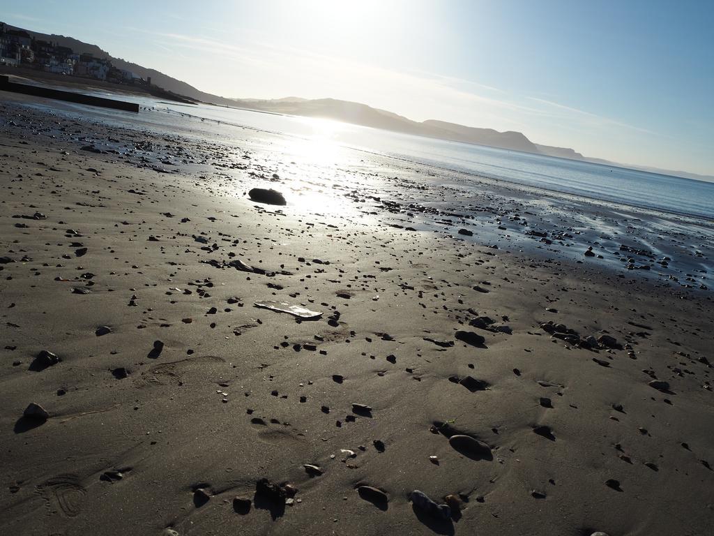 Dorset House Bed and Breakfast Lyme Regis Eksteriør billede