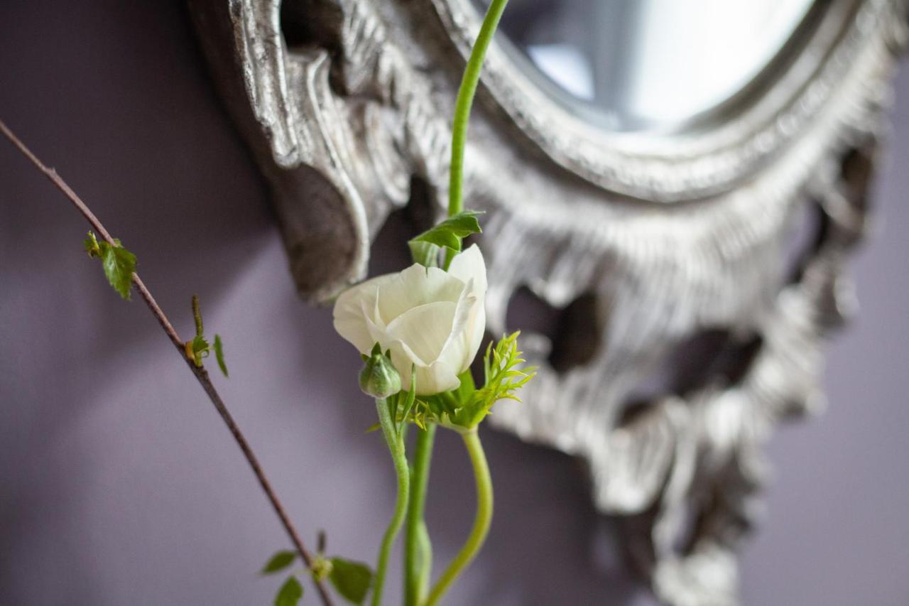 Dorset House Bed and Breakfast Lyme Regis Eksteriør billede